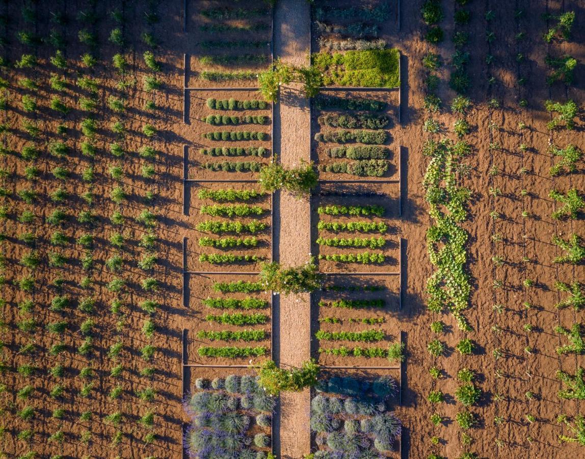 Chateau De Valmer La Croix-Valmer Luaran gambar